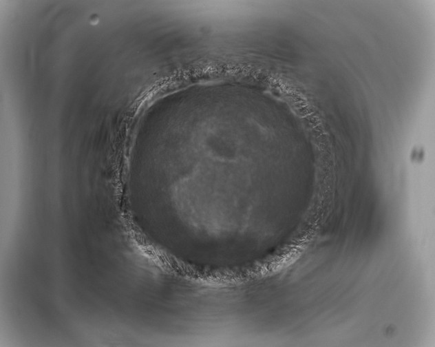 X0000098190144200804241253