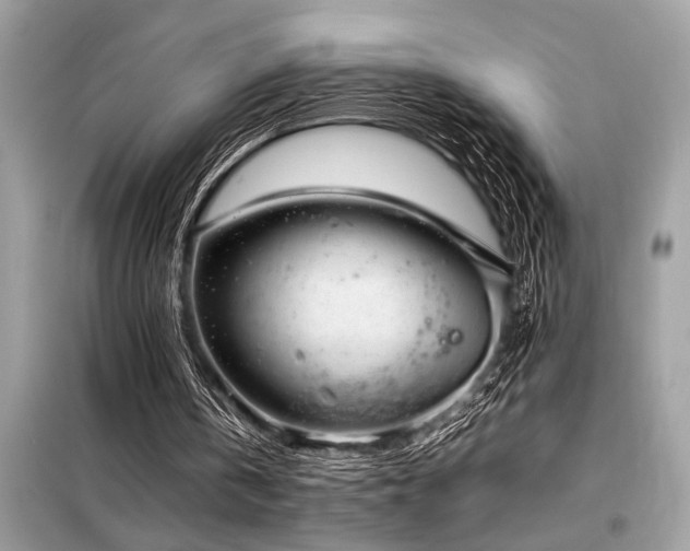 X0000098190146200804241253