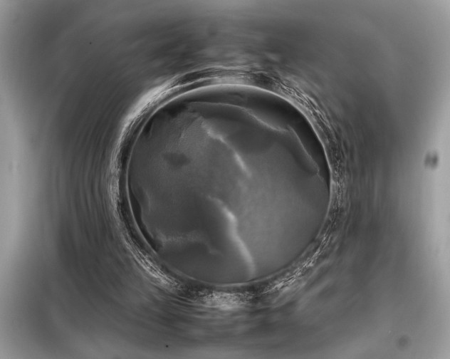 X0000098190149200804241253