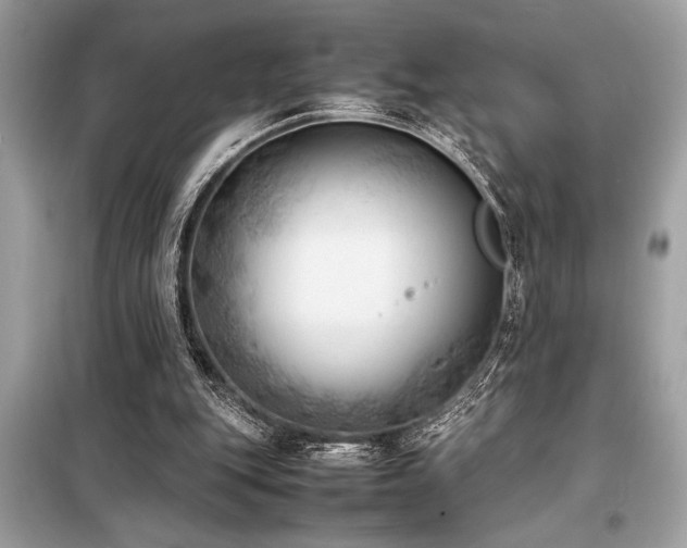 X0000098190151200804241253