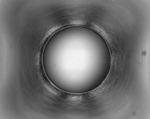 X0000098190155200804241253