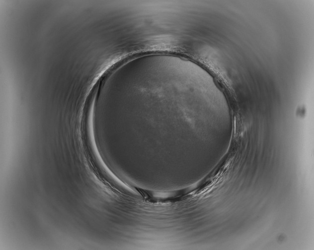 X0000098190156200804241253