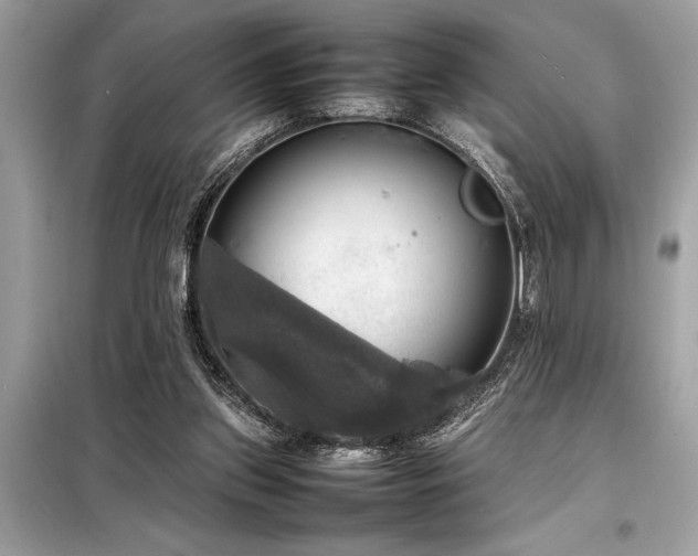 X0000098190157200804241253