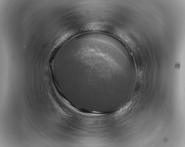 X0000098190158200804241253