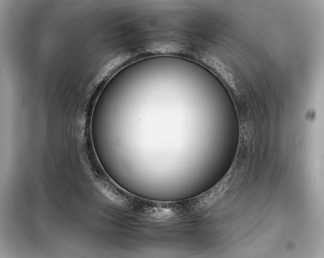 X0000098190159200804241253