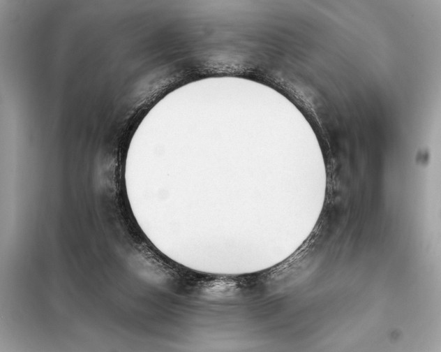 X0000098190162200804241253