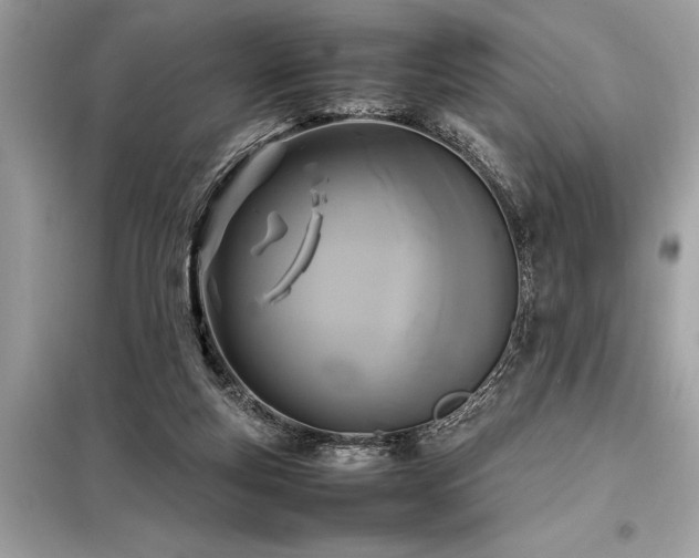 X0000098190163200804241253