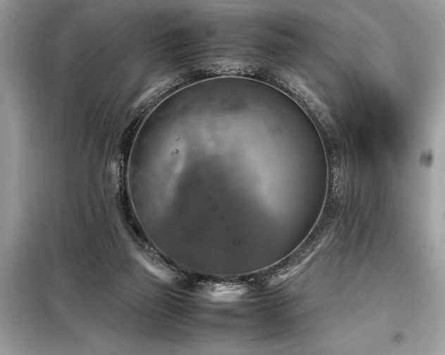 X0000098190165200804241253