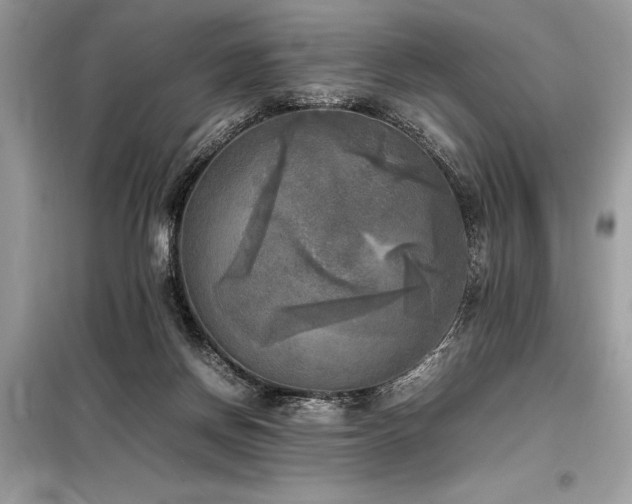 X0000098190166200804241253