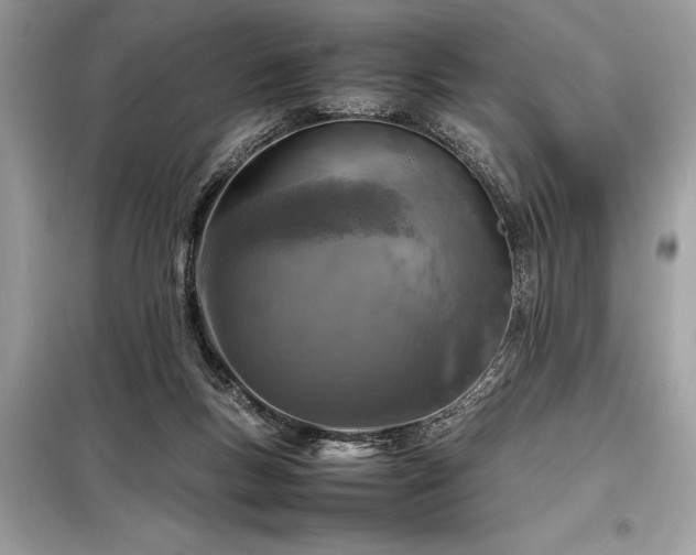 X0000098190167200804241253