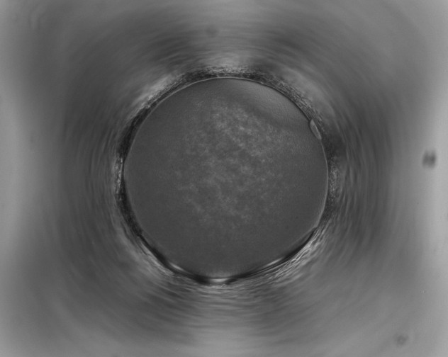 X0000098190168200804241253