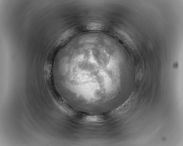 X0000098190171200804241253
