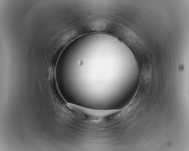 X0000098190172200804241253