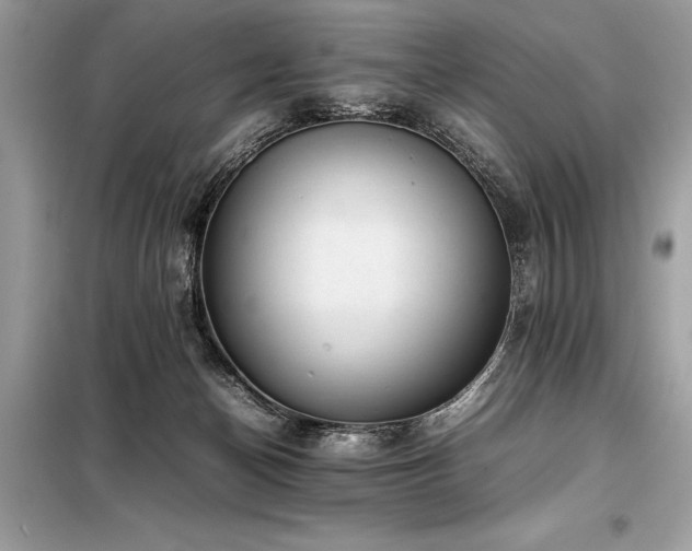 X0000098190174200804241253