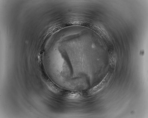 X0000098190175200804241253