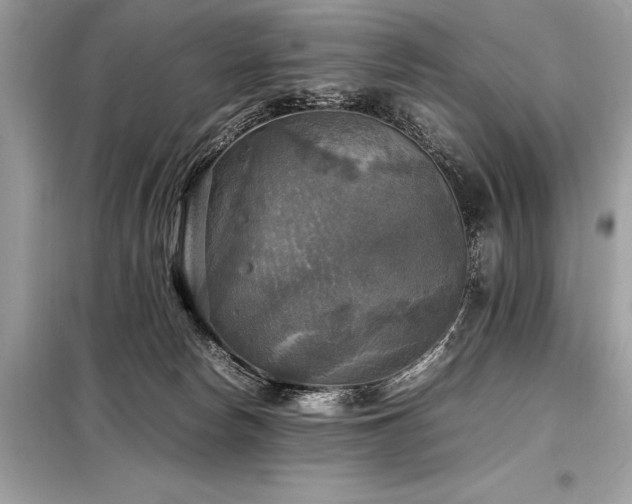 X0000098190178200804241253