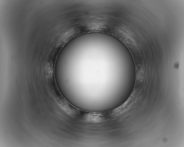 X0000098190179200804241253