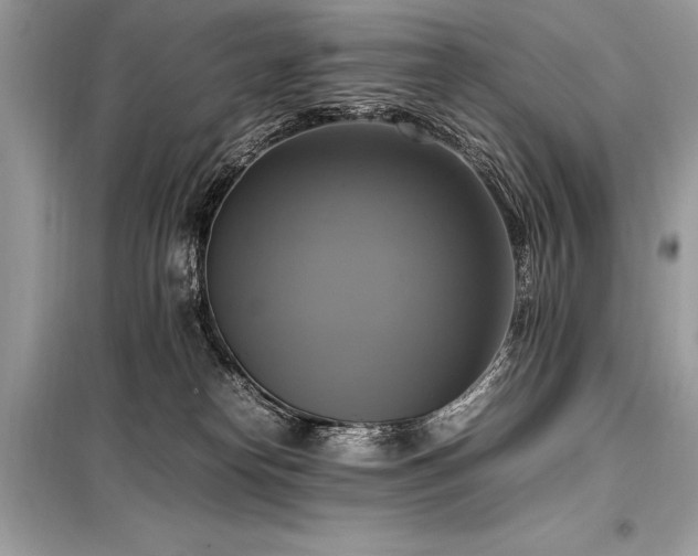 X0000098190182200804241253