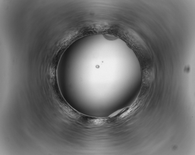X0000098190184200804241253