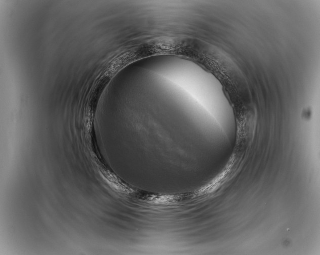X0000098190186200804241253