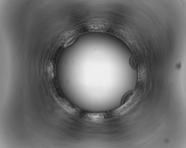 X0000098190187200804241253