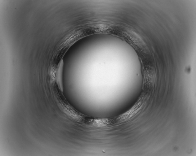 X0000098190188200804241253