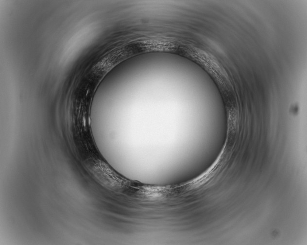 X0000098190190200804241253