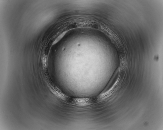 X0000098190191200804241253