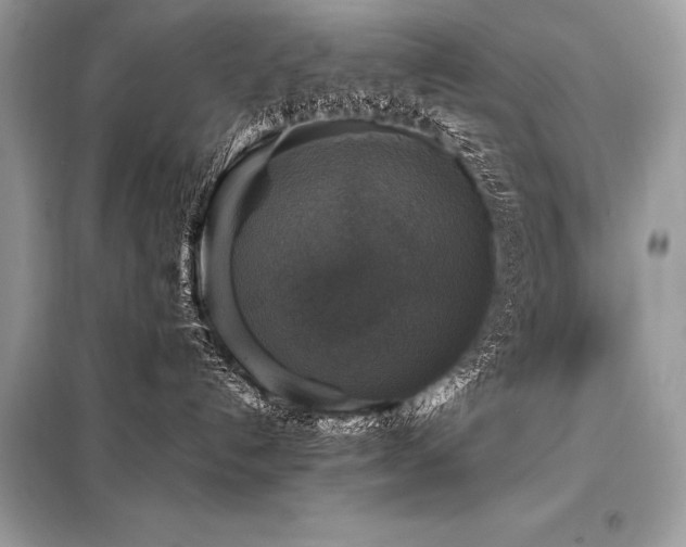 X0000098190192200804241253