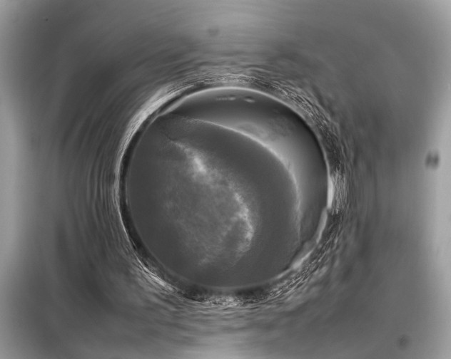 X0000098190195200804241253