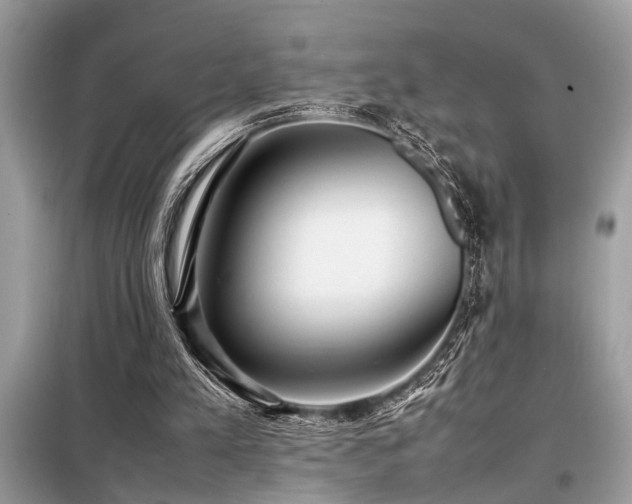 X0000098190197200804241253