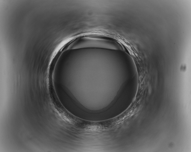 X0000098190200200804241253