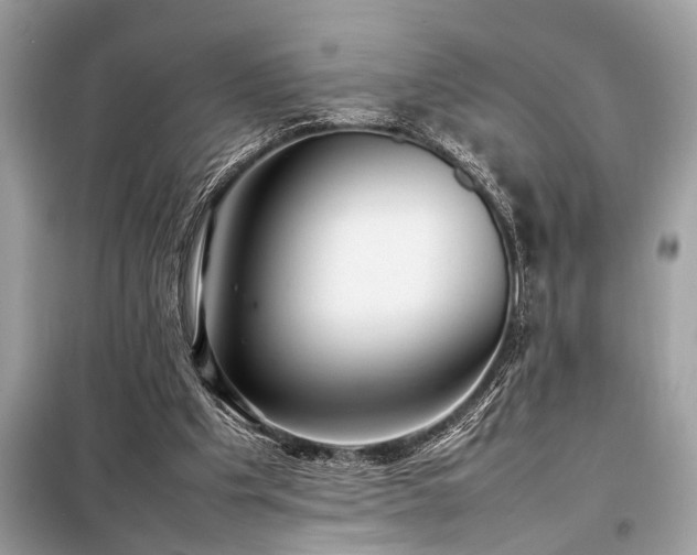 X0000098190201200804241253