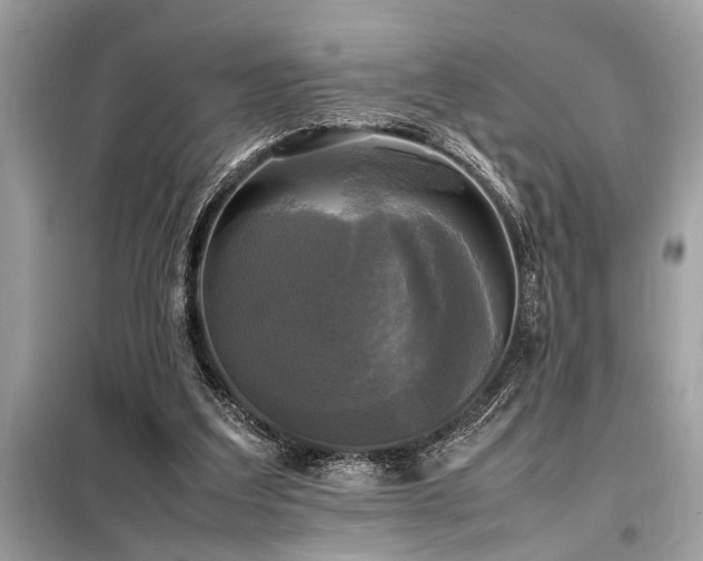 X0000098190203200804241253