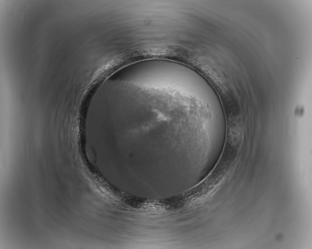 X0000098190207200804241252
