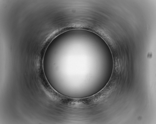 X0000098190208200804241252