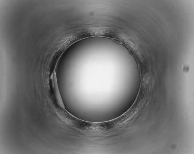 X0000098190209200804241252
