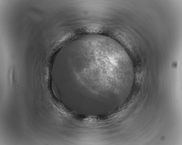 X0000098190211200804241252