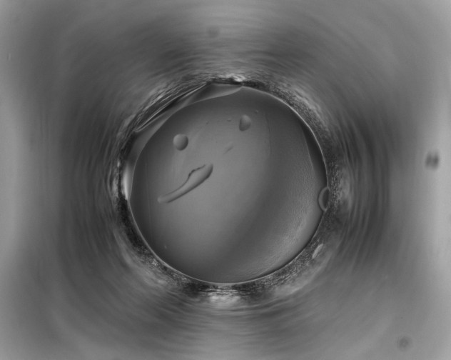 X0000098190214200804241252