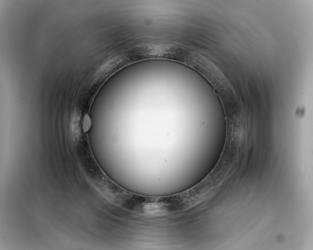 X0000098190216200804241252