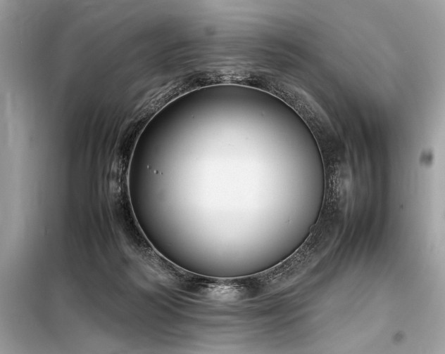 X0000098190218200804241252