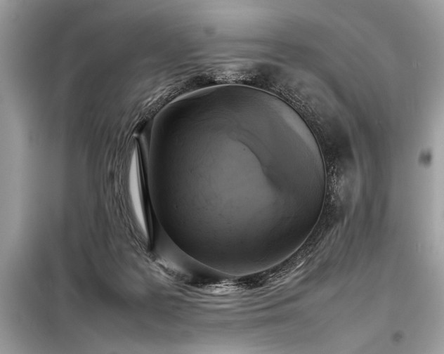 X0000098190219200804241252