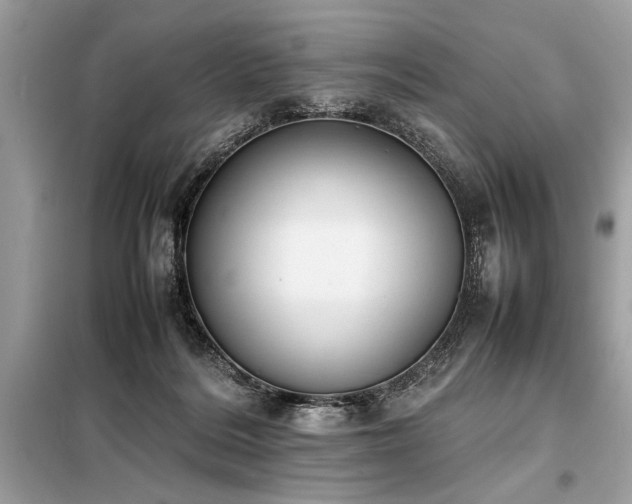 X0000098190220200804241252