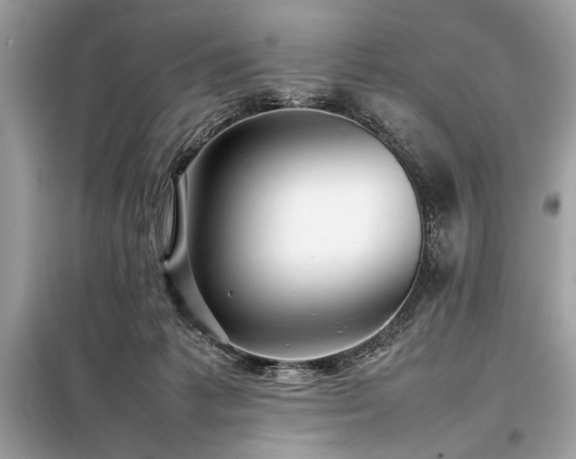 X0000098190221200804241252