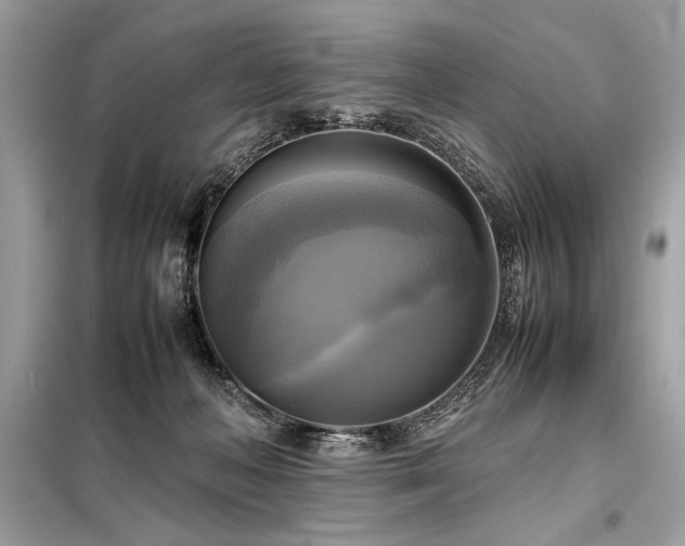 X0000098190222200804241252