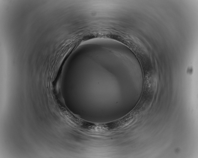 X0000098190223200804241252