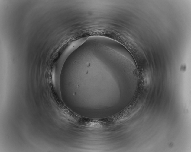 X0000098190224200804241252