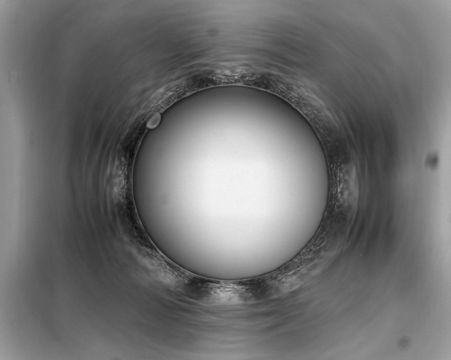 X0000098190226200804241252