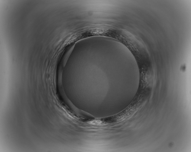 X0000098190227200804241252