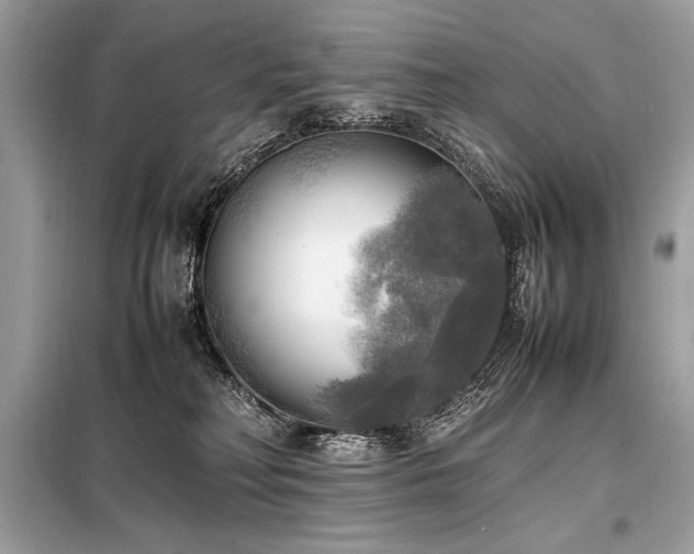 X0000098190230200804241252